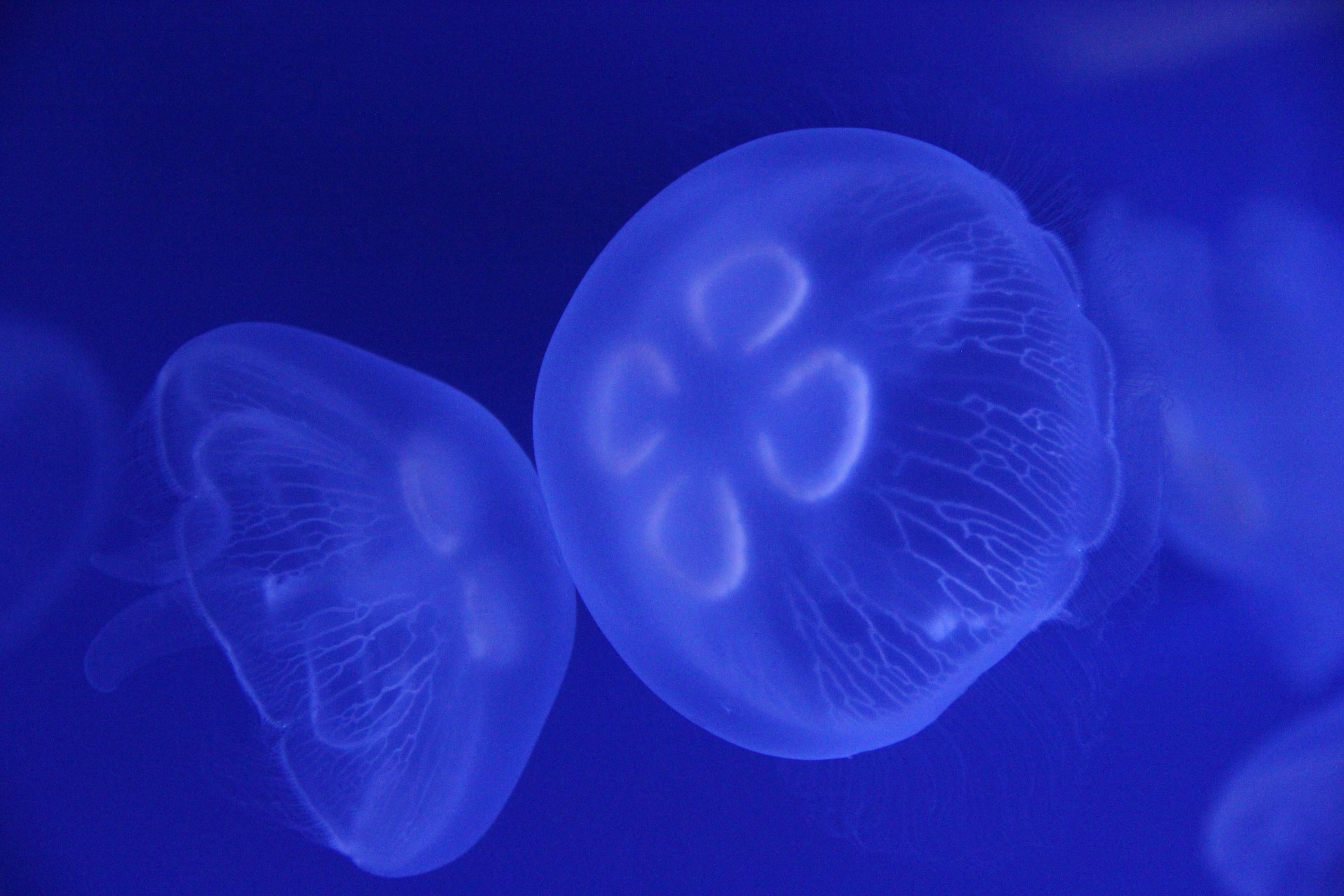 We are close neighbors ..