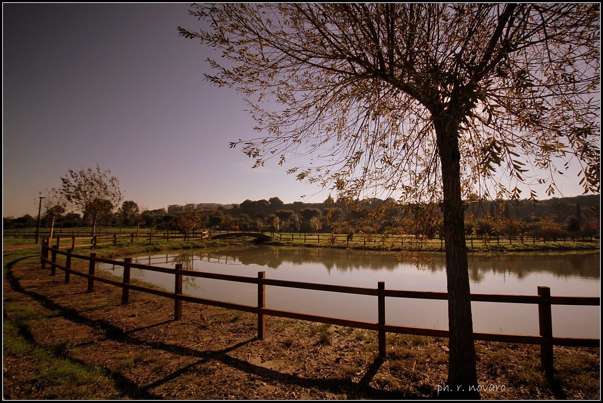 Park Cillarese - toast - eos 60d - Sigma 10-20
