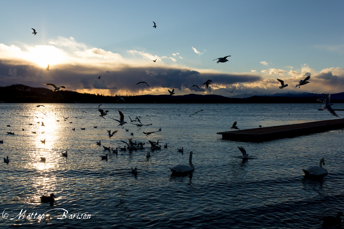 Lago di Varese