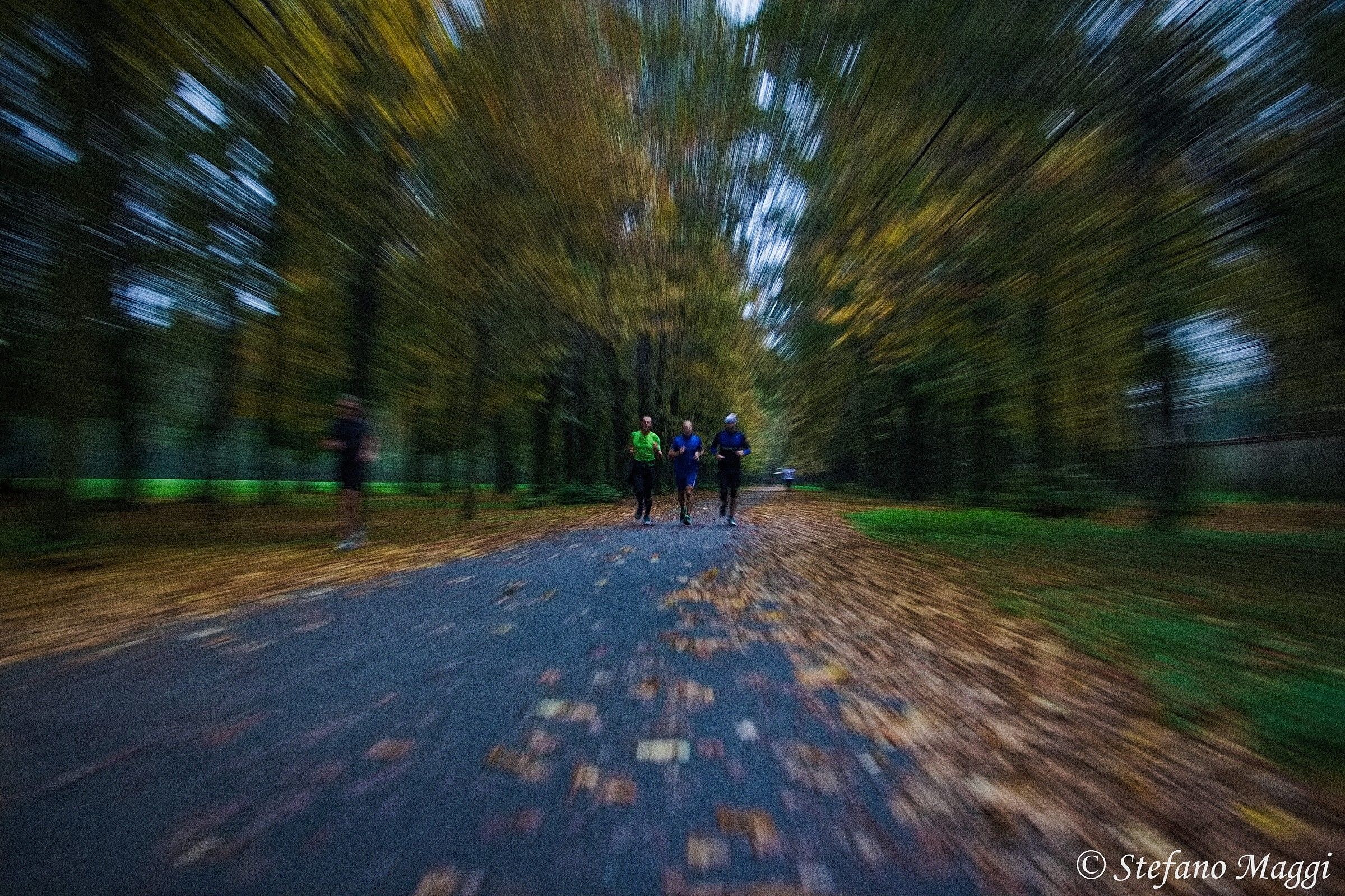 Zooming 2 Parco di Monza