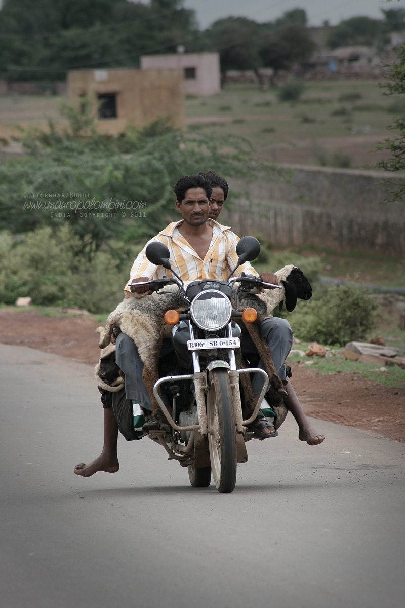 Tra Cittorghar e Bundi