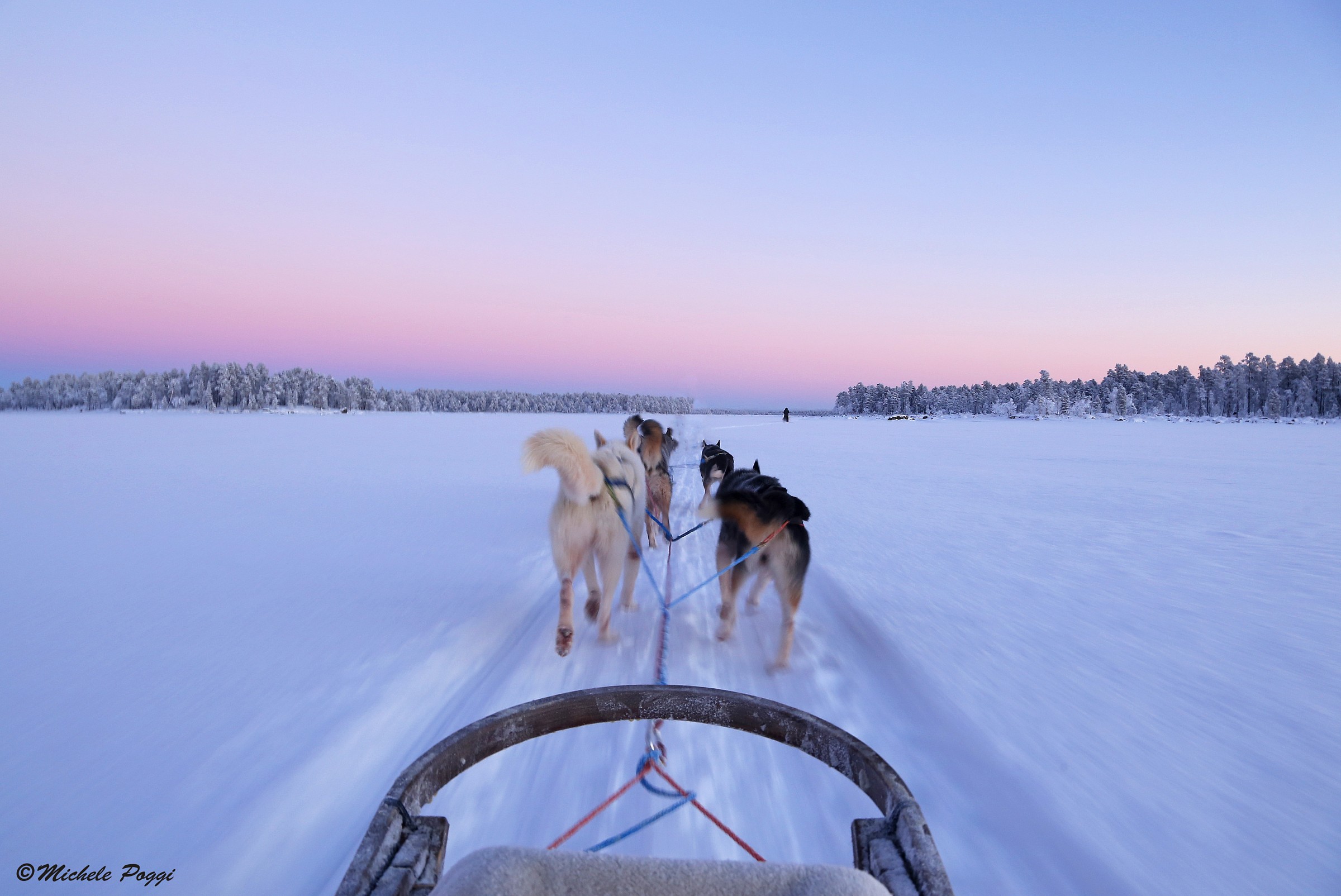Lake Inari with Husky