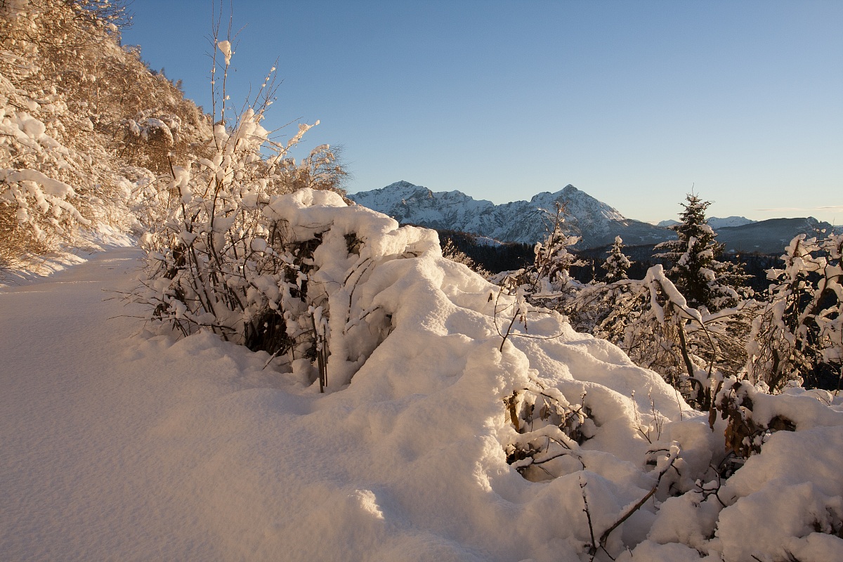 Snowshoeing at Mount San Primo