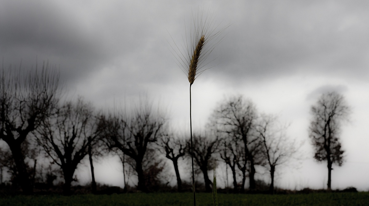La nostra felicità non dipende solo dalle gioie attua...