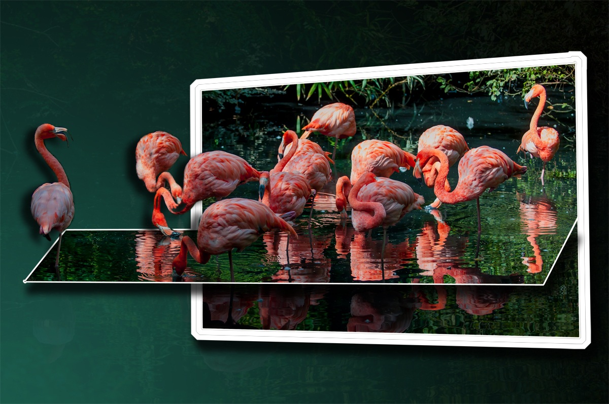 Game Postproduction January 20th