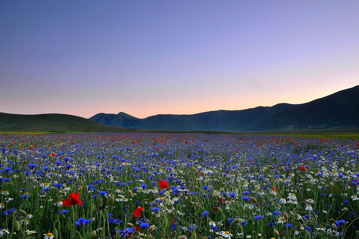 Castelluccio