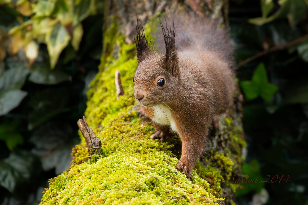 ... so che sei li  ...