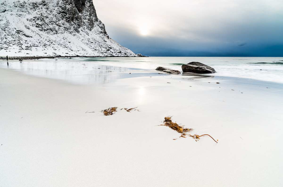 The great white beach