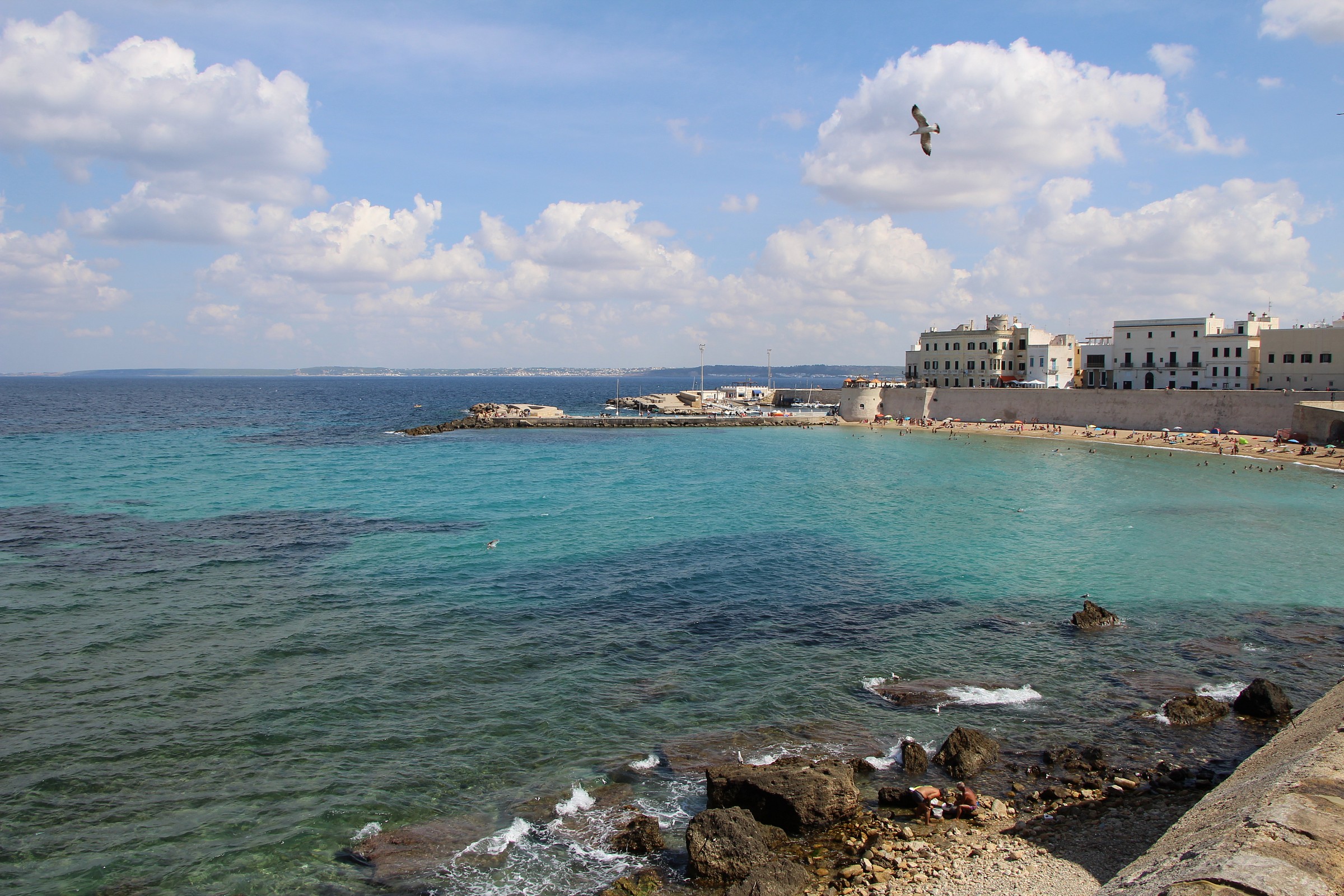 Flying over the city