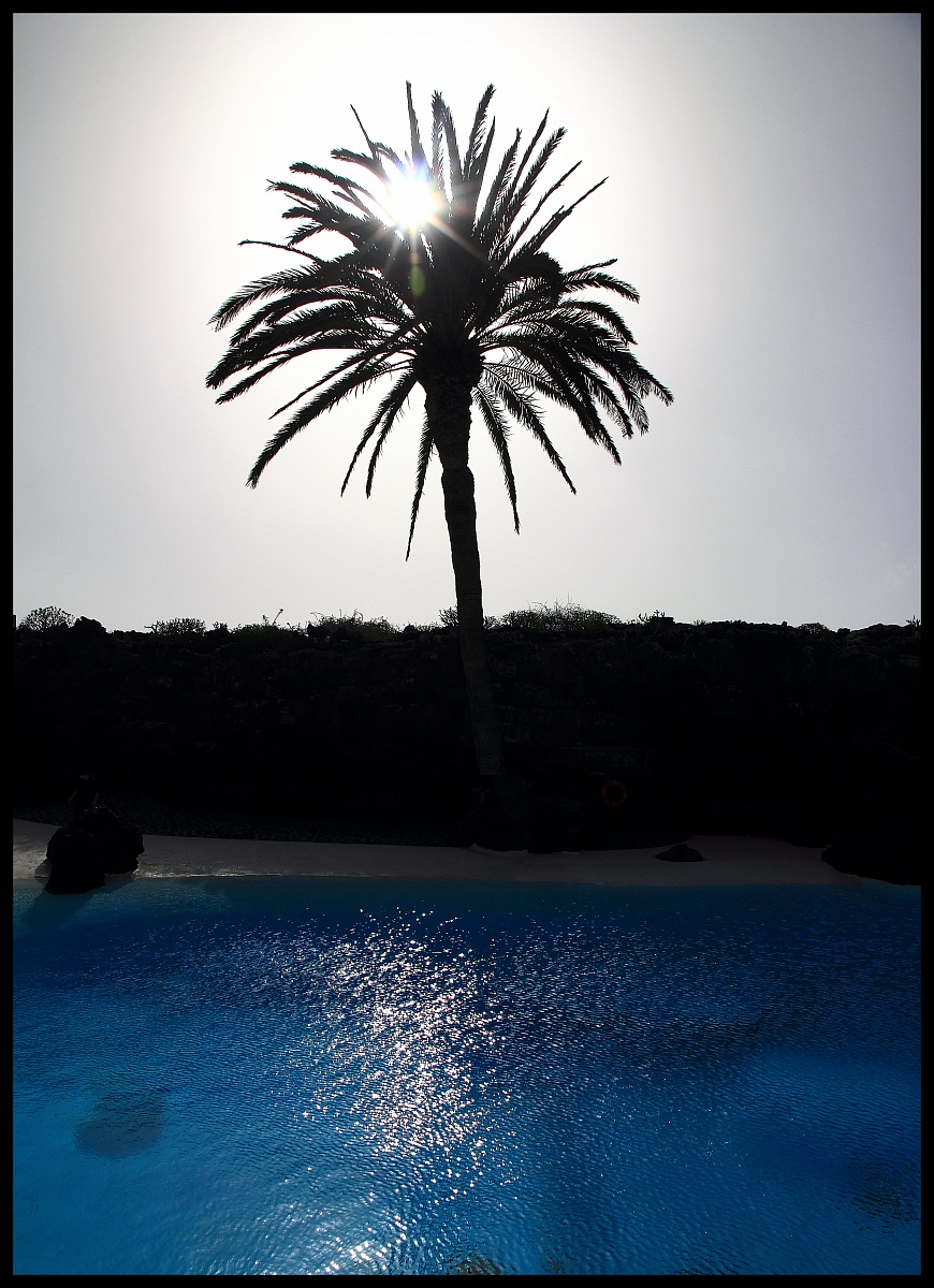 Blue Palm (Lanzarote)