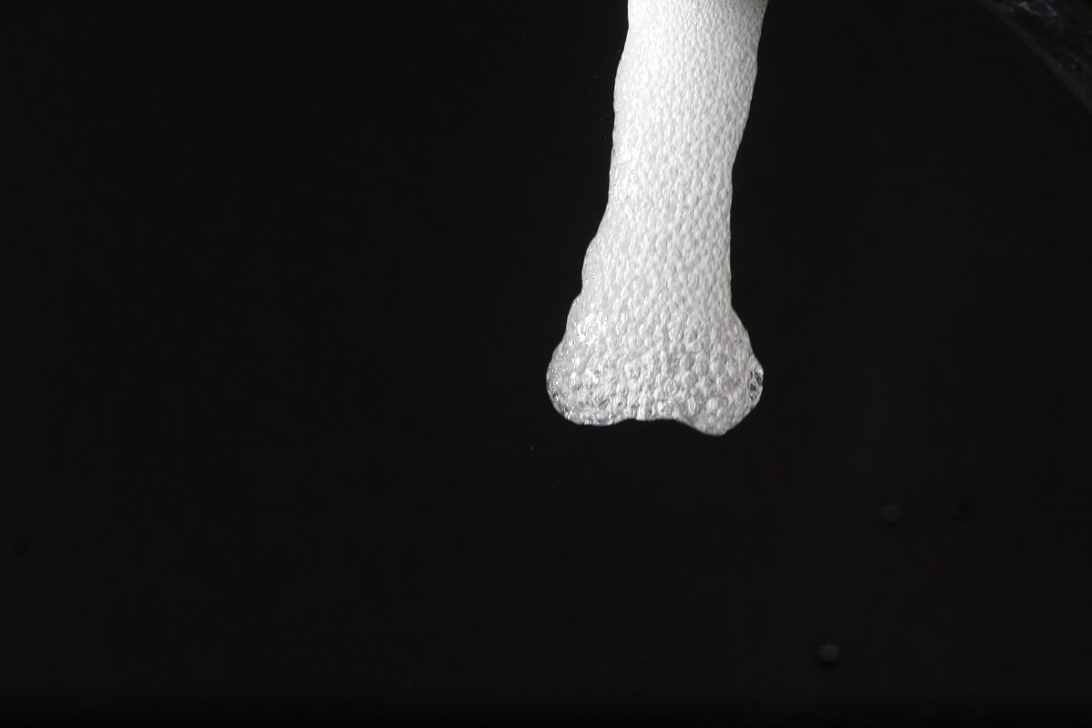 What the eye does not see 2