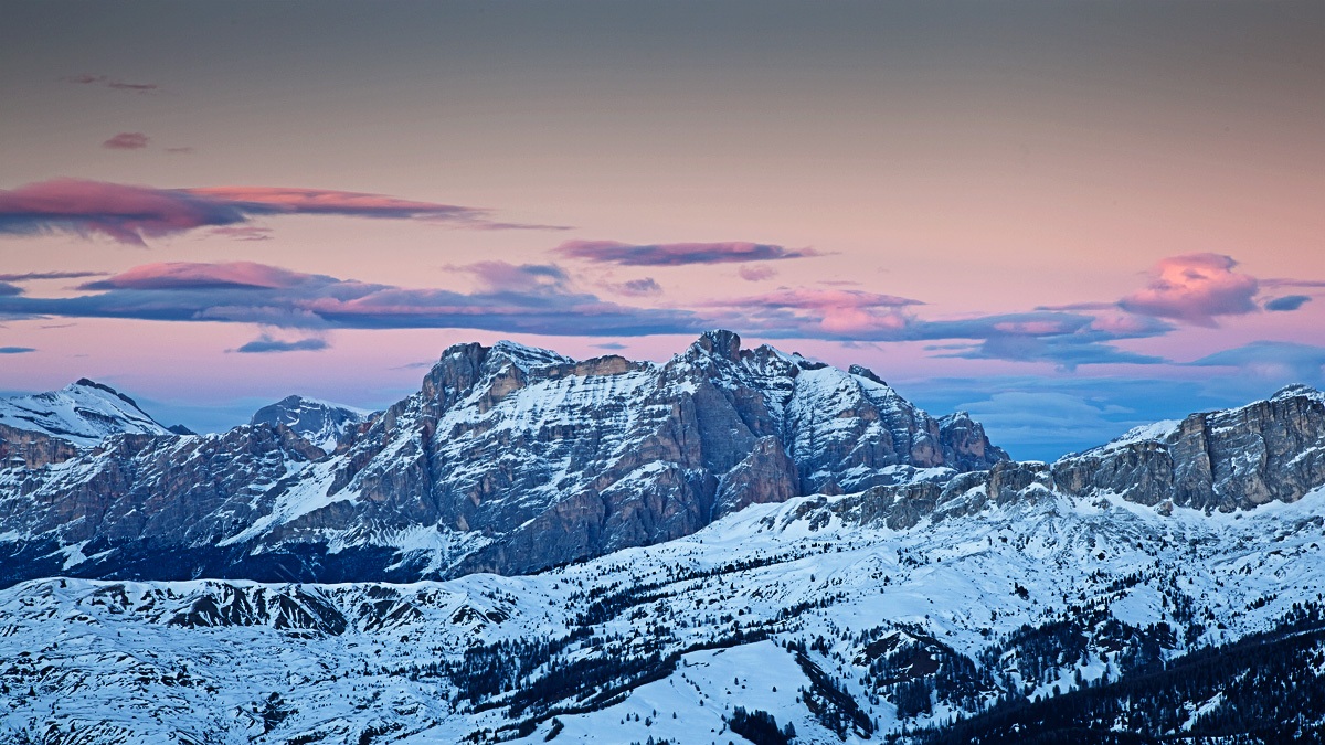 pennellate di colore