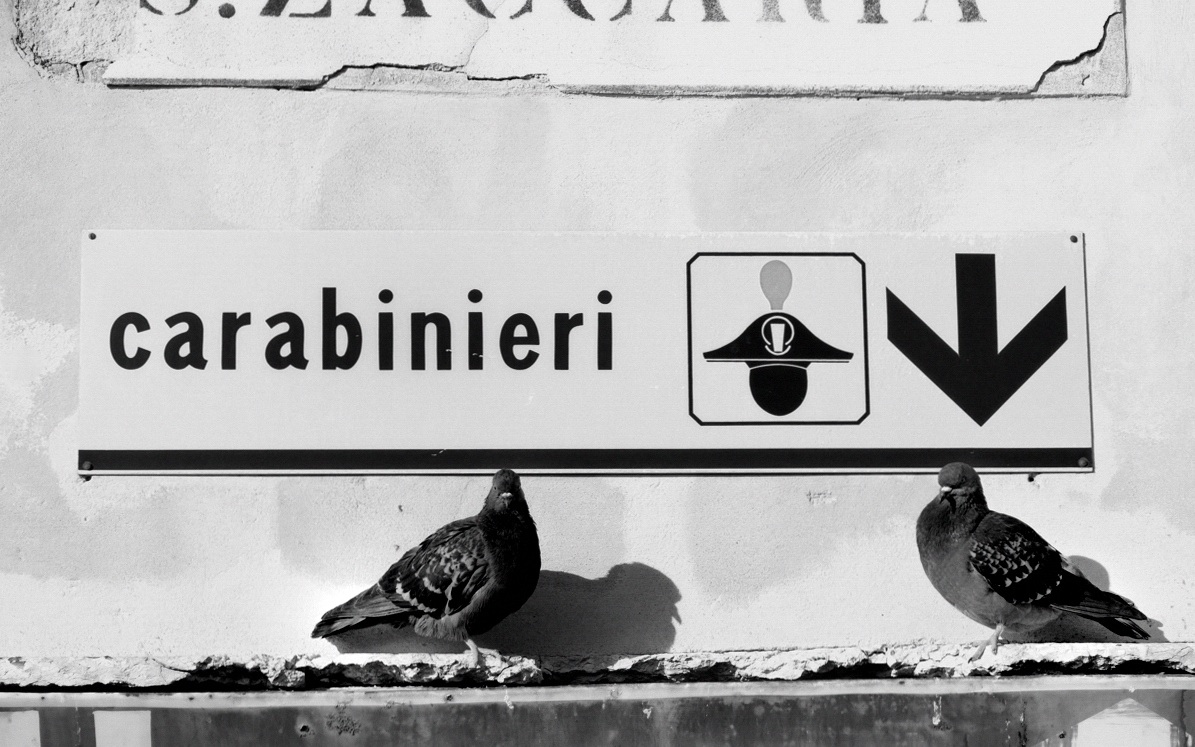 C.S.V.-Corpi Speciali Veneziani -Volante 2!