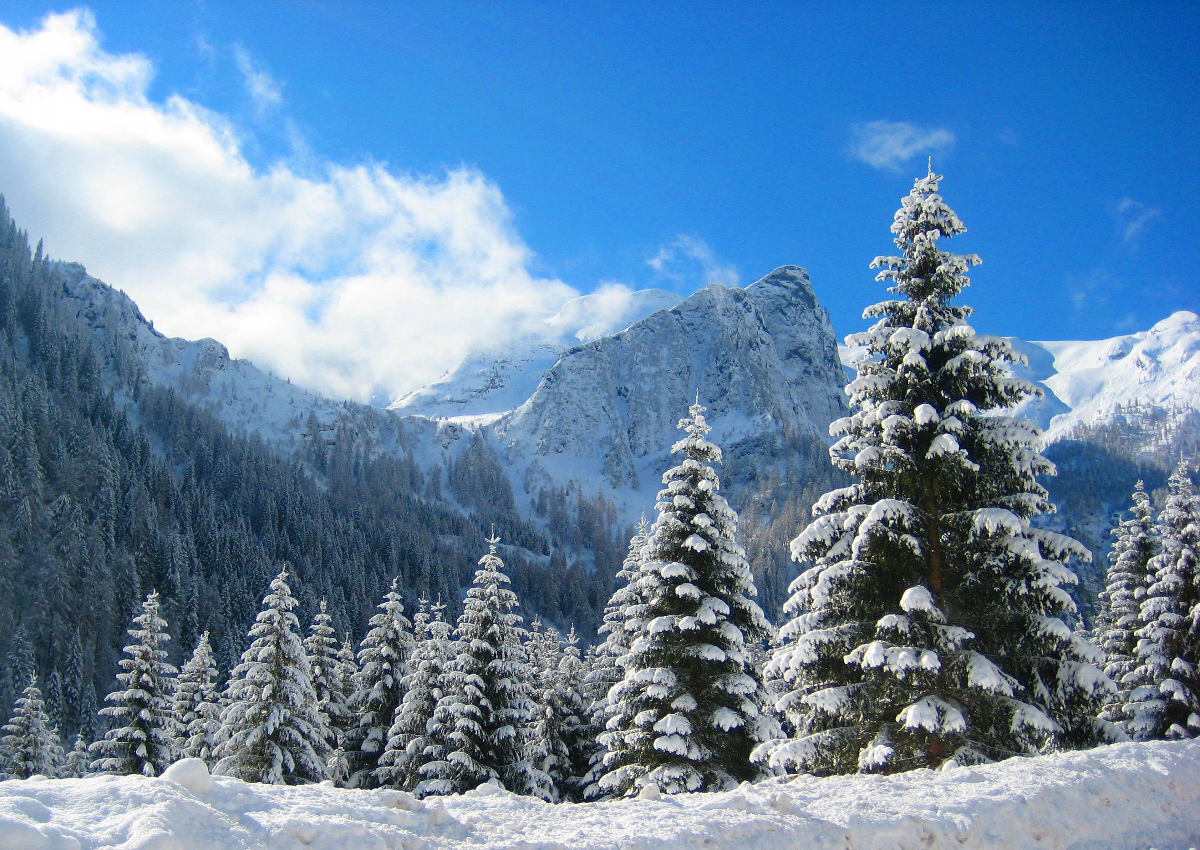 ...due passi tra la neve