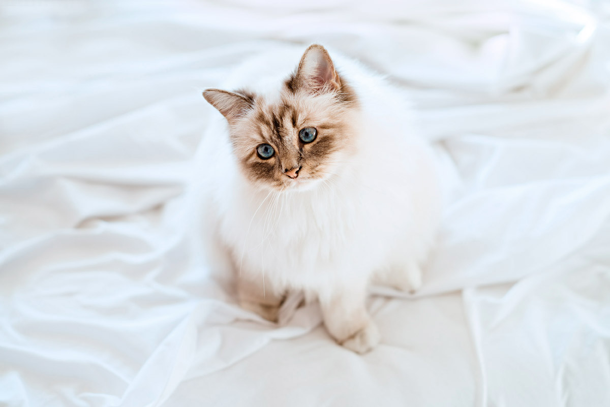 Bring out the lanyard!