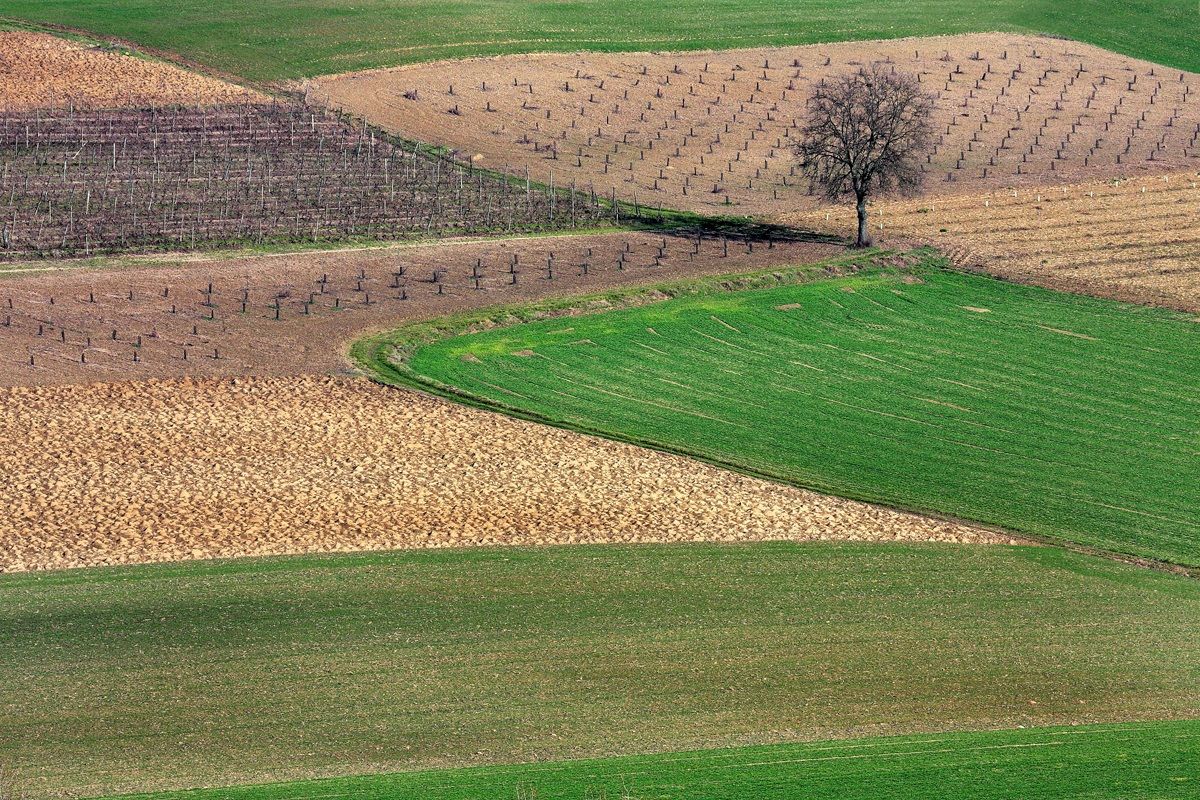 The Monferrato Winter