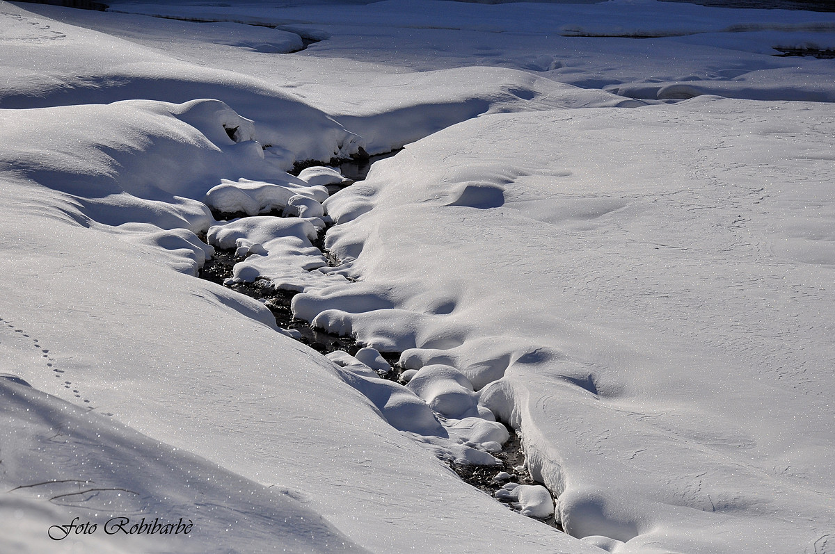 January is quiet and mild ....