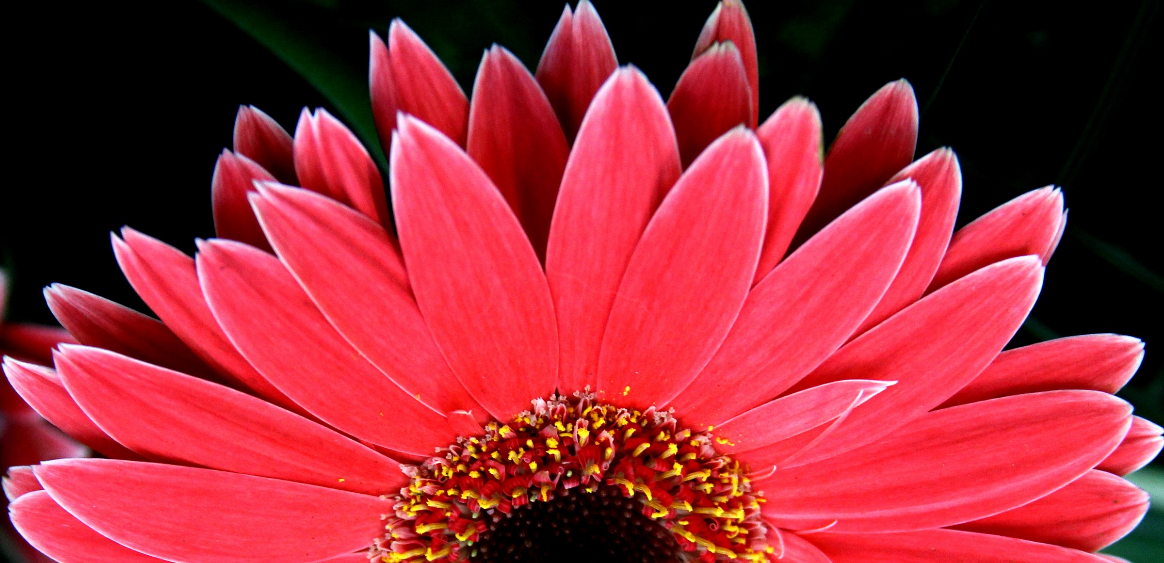 Sono una principessa