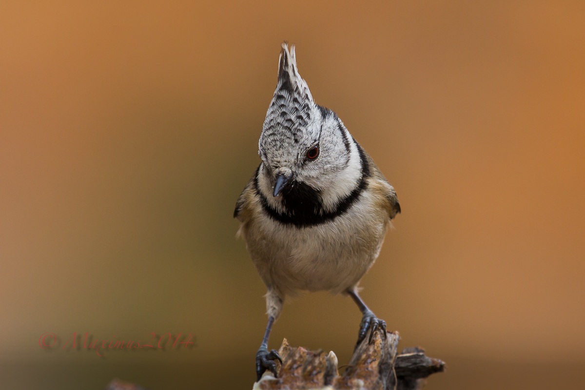 ...face to face.. heart to heart ...