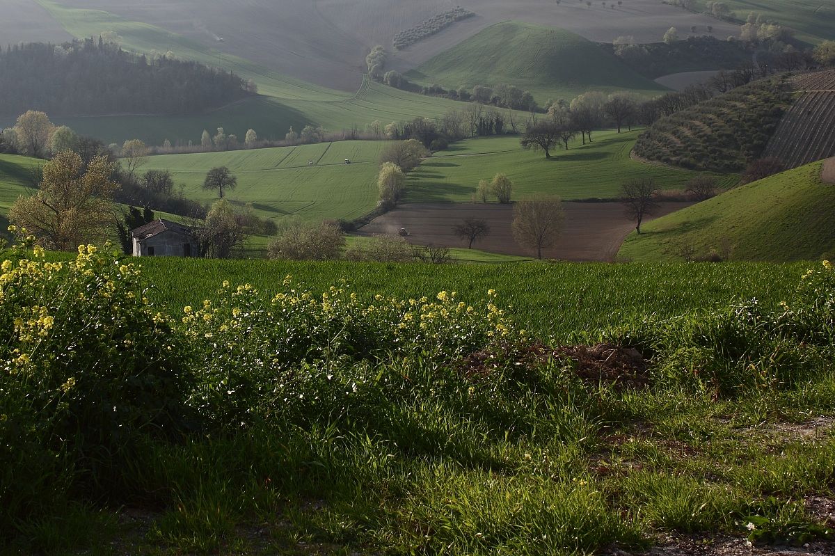 Hills of the Marches 2