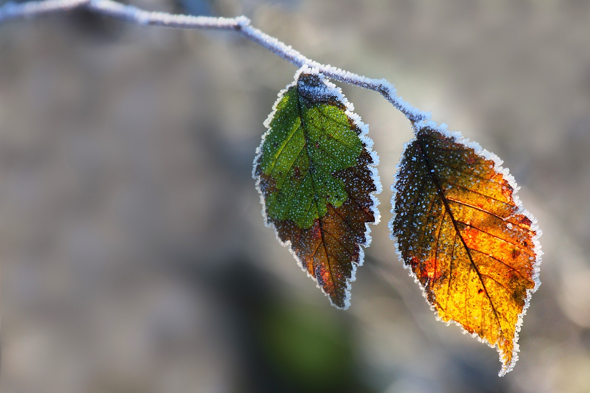 Tra autunno e inverno