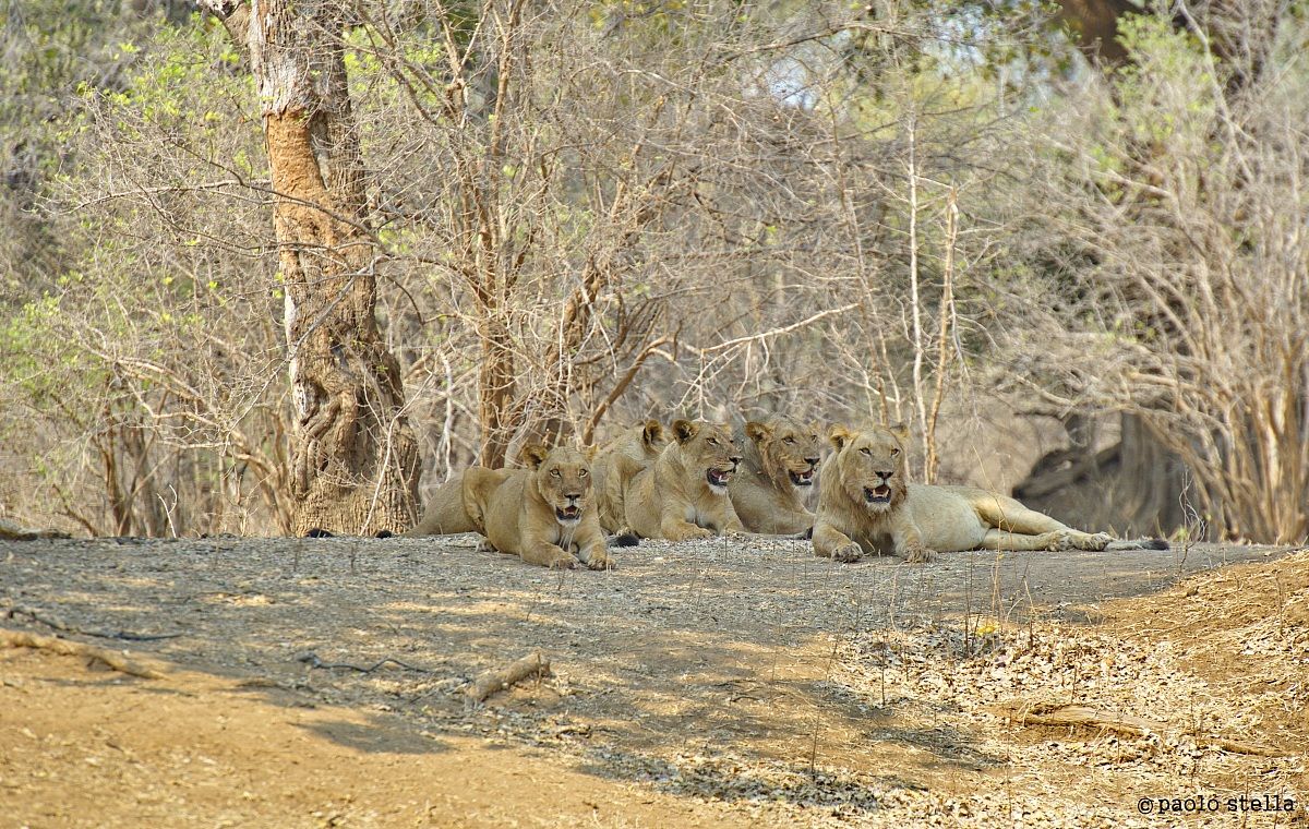 Mom ... how many are ...