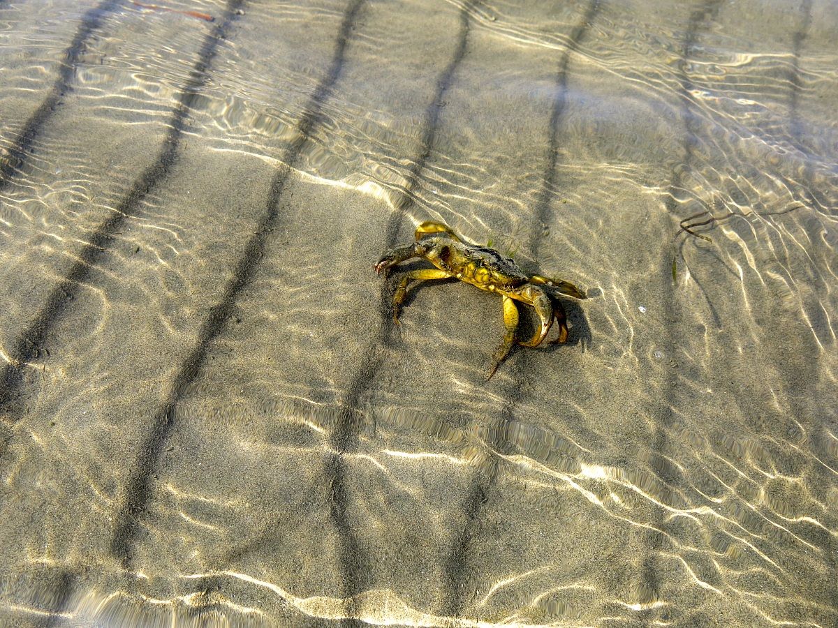 altrimenti mi arrabbio!