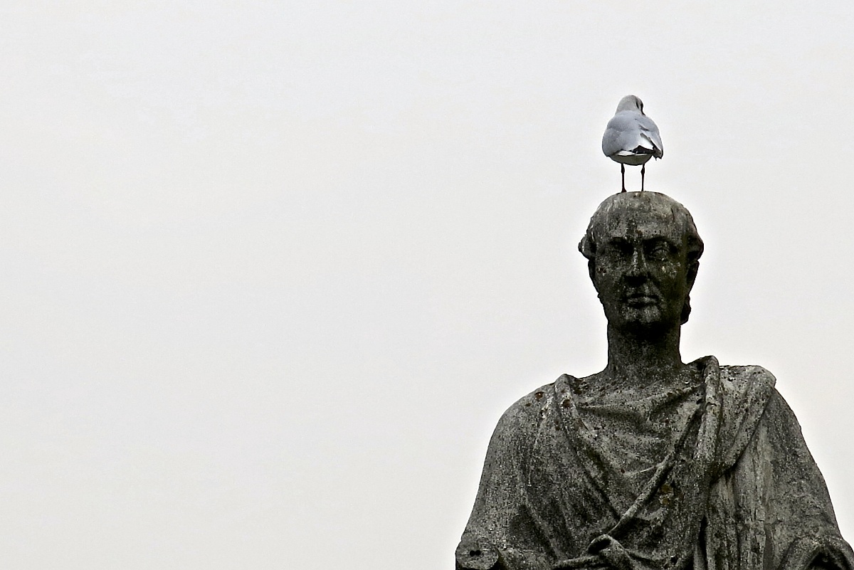 in Prato della valle, Padova