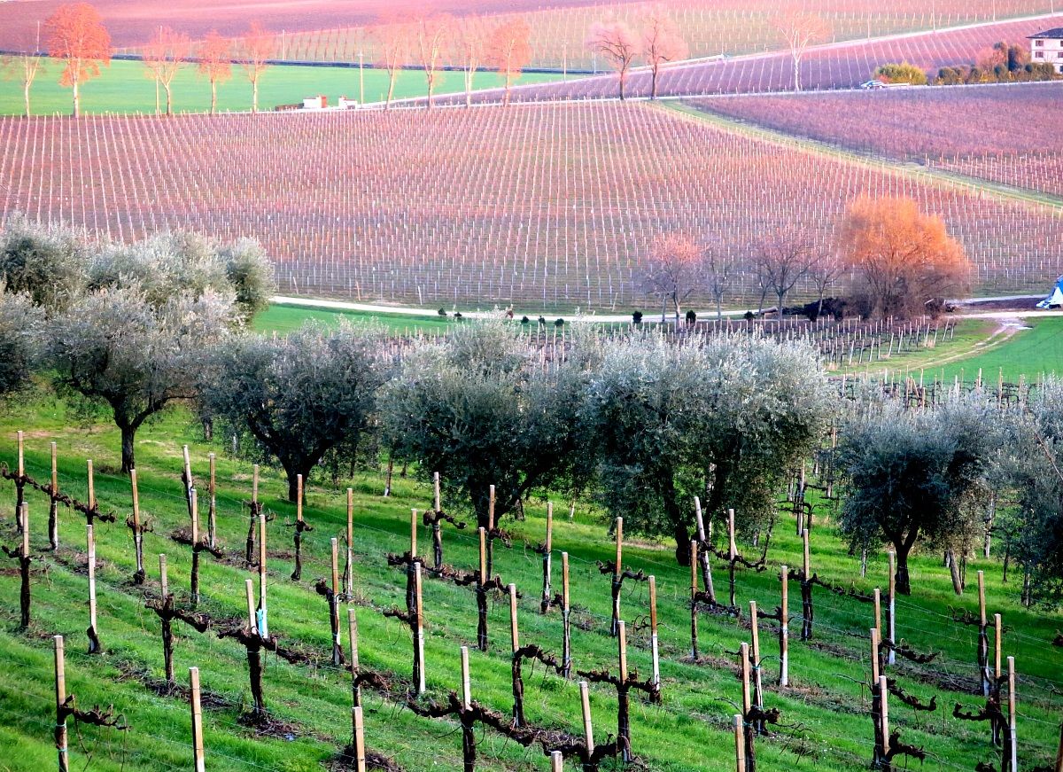 verso il castello di Susegana