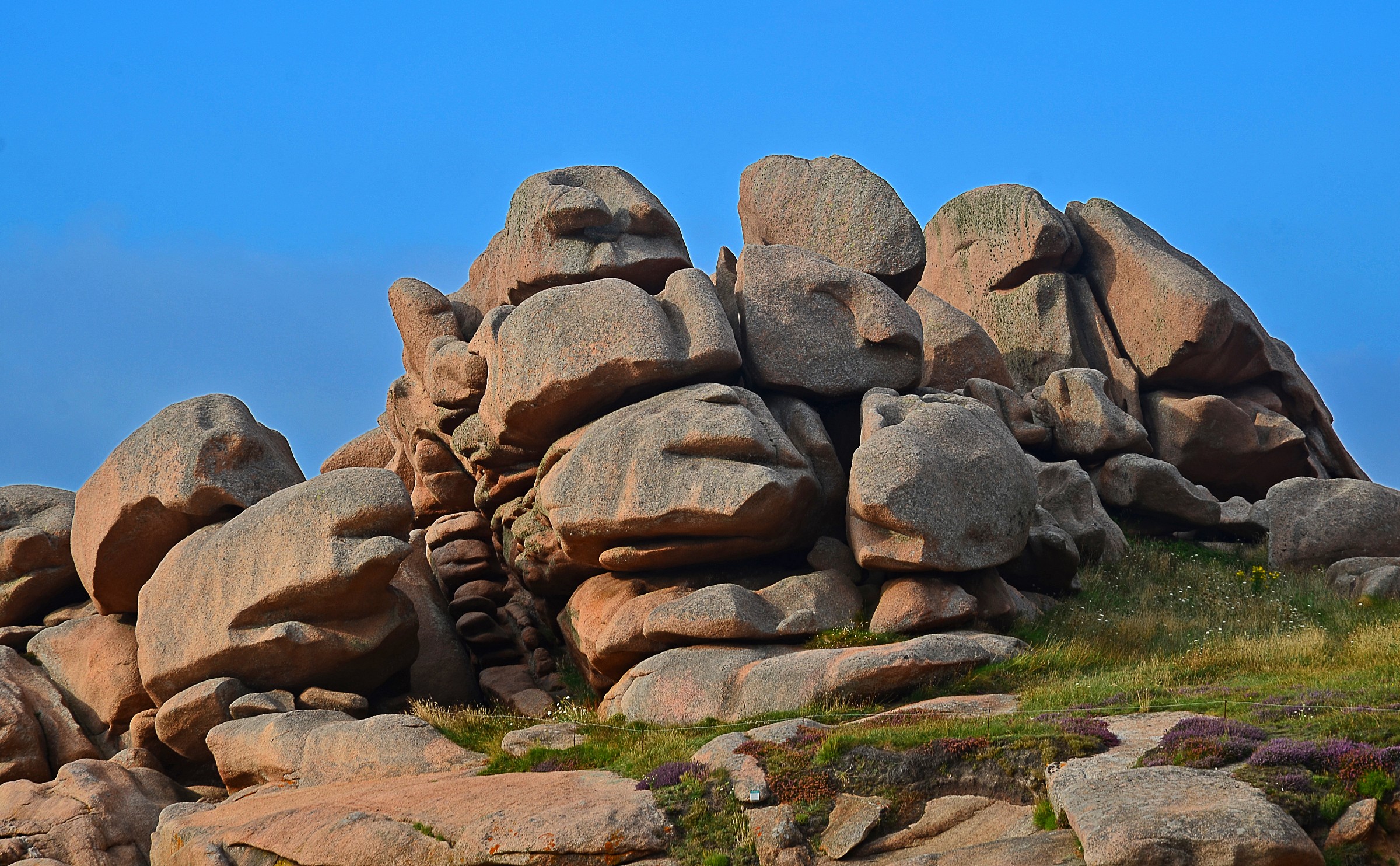 Stones....group photo