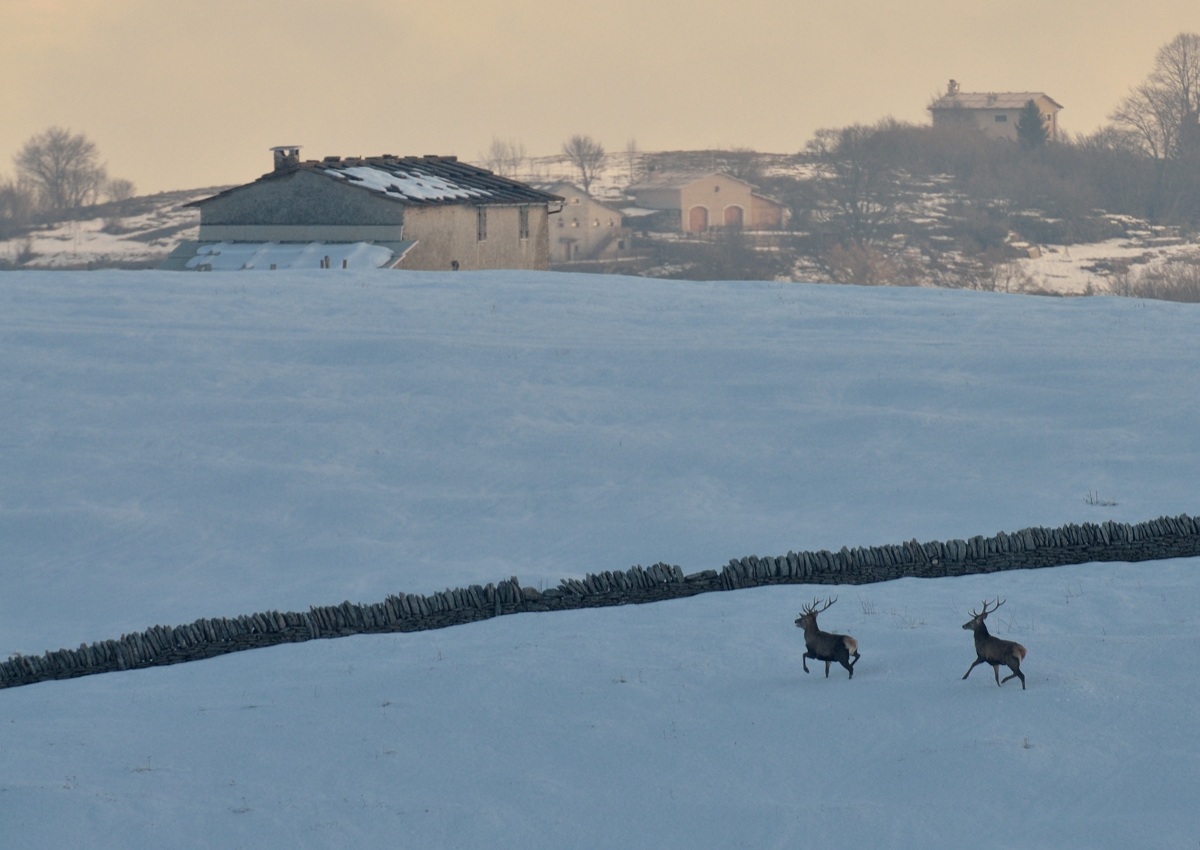 Unexpected appearance