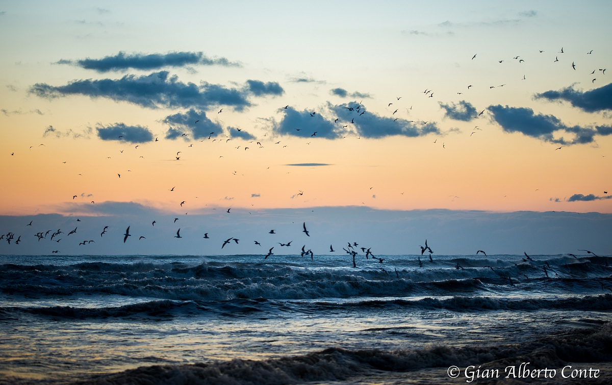 Alba vital after the storm '.