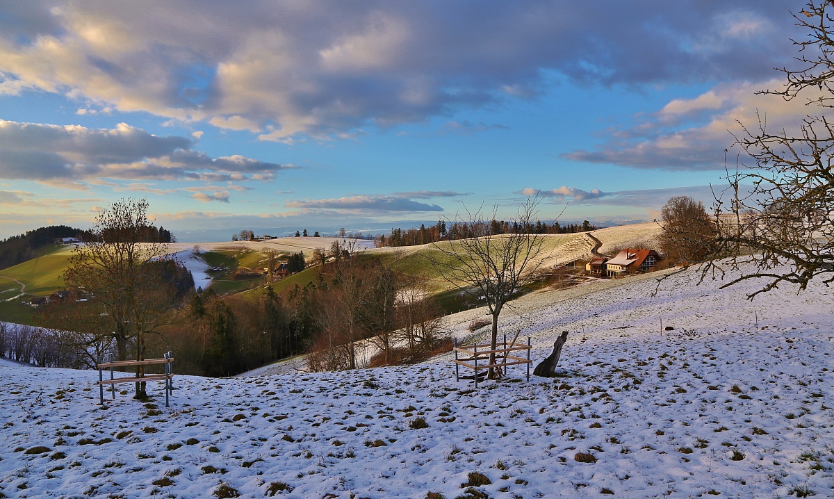 Oberbalm - 24 Gennaio 2014