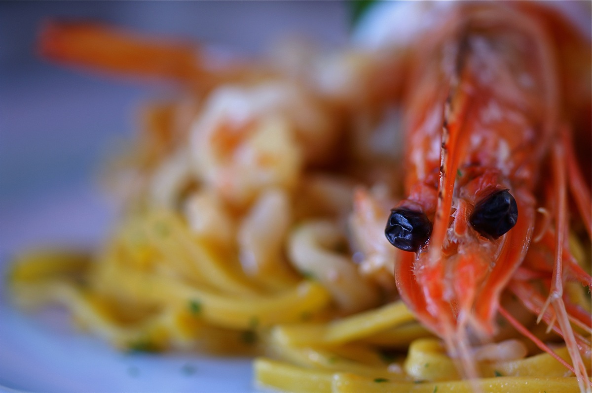 Tagliolino to white sauce seafood