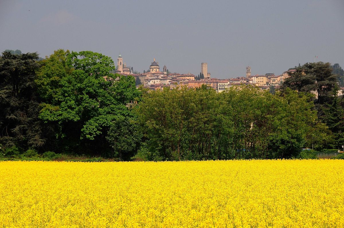 Bergamo in Yellow