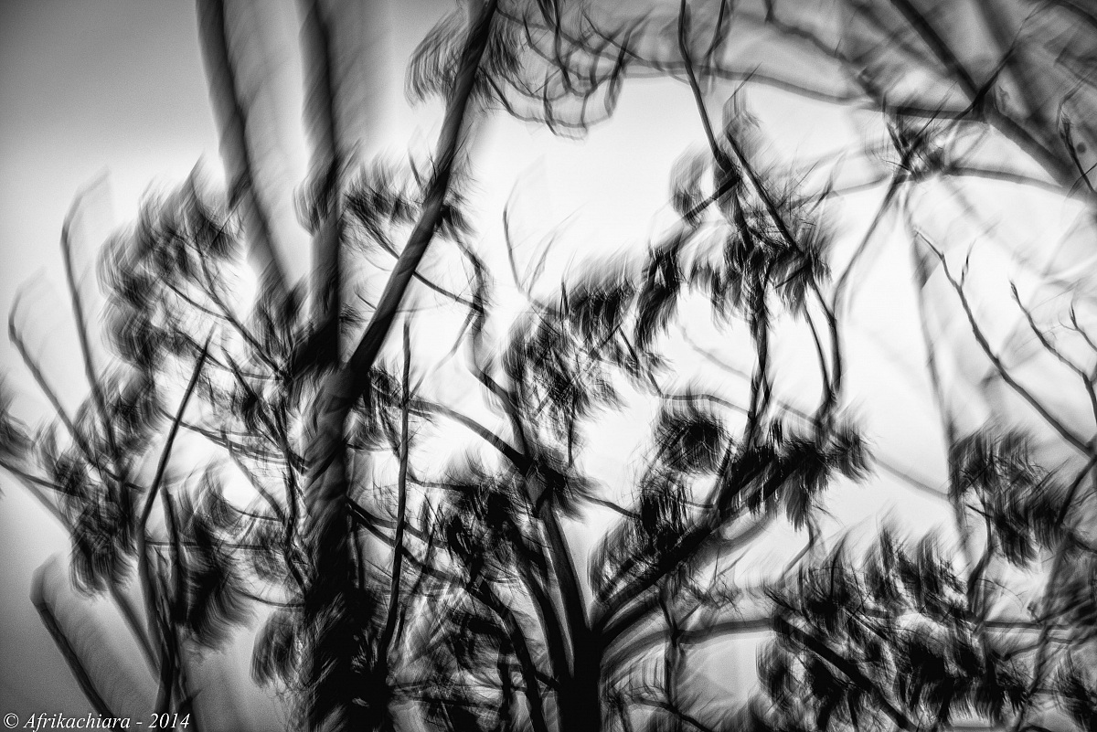 The wind stirs my thoughts ...