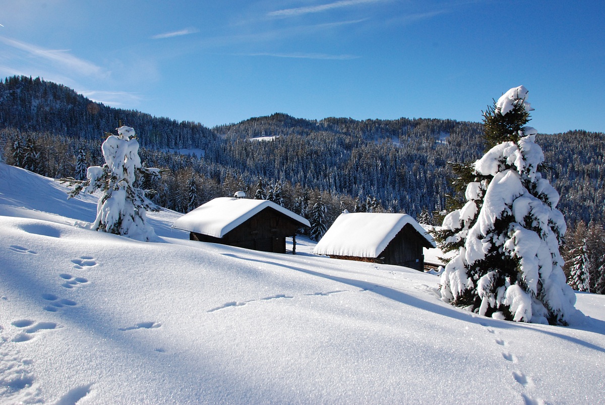 Paesaggio invernale in Val Pusteria