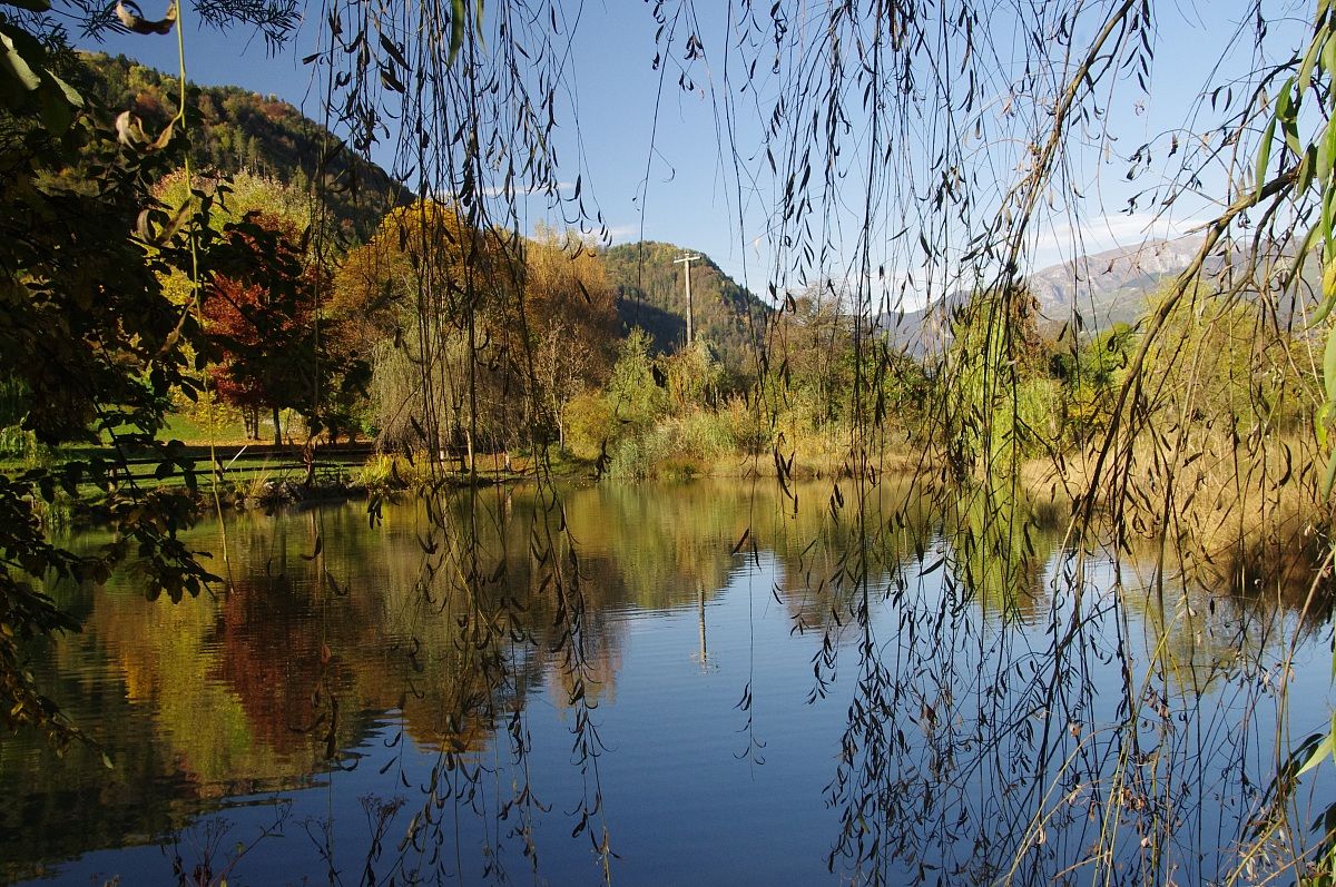 pond s lorenzo rovetta (bg)