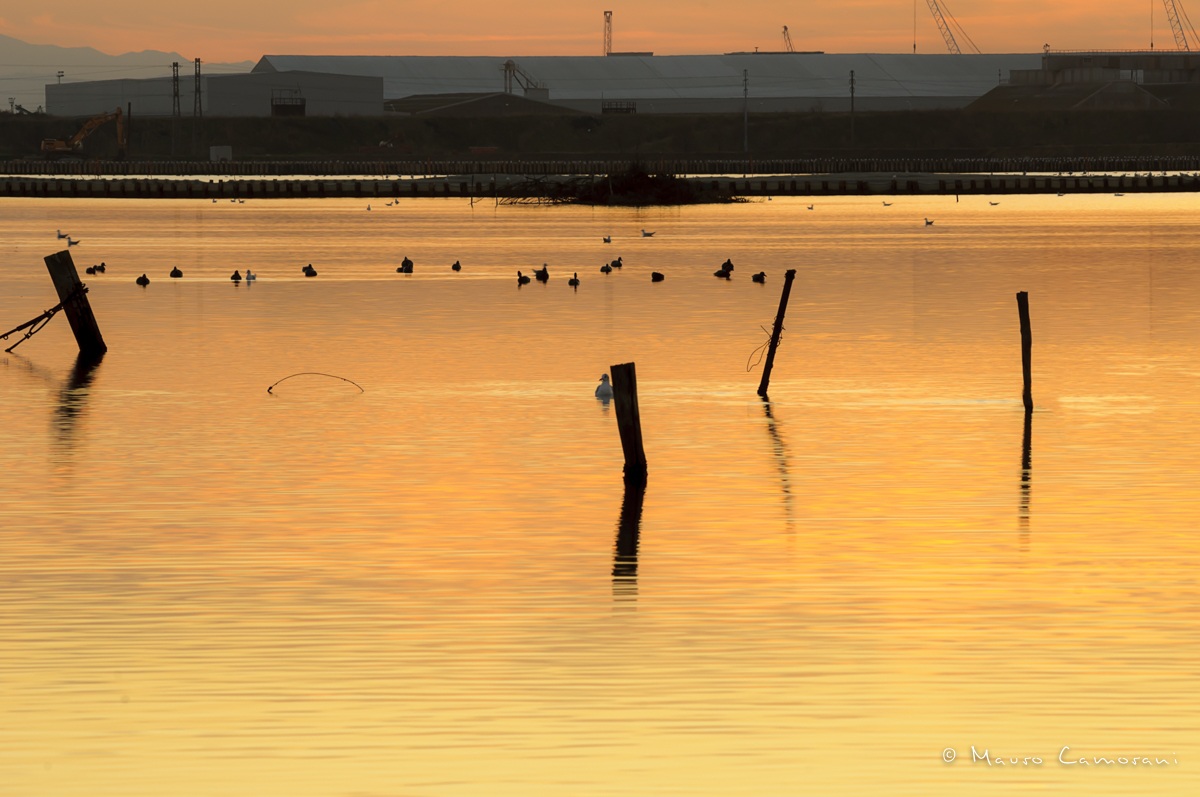 Sunset Channel Piombone