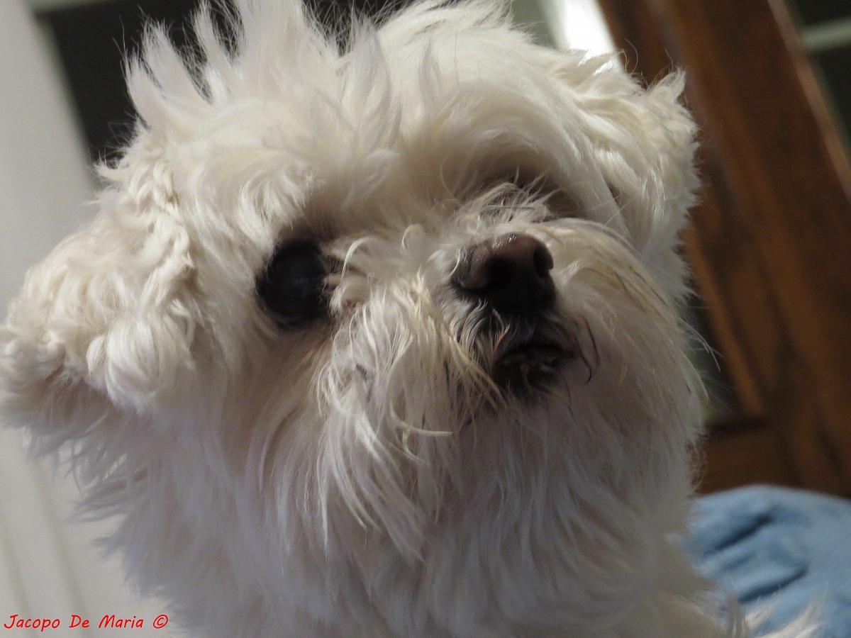 Are you talking to me ....?