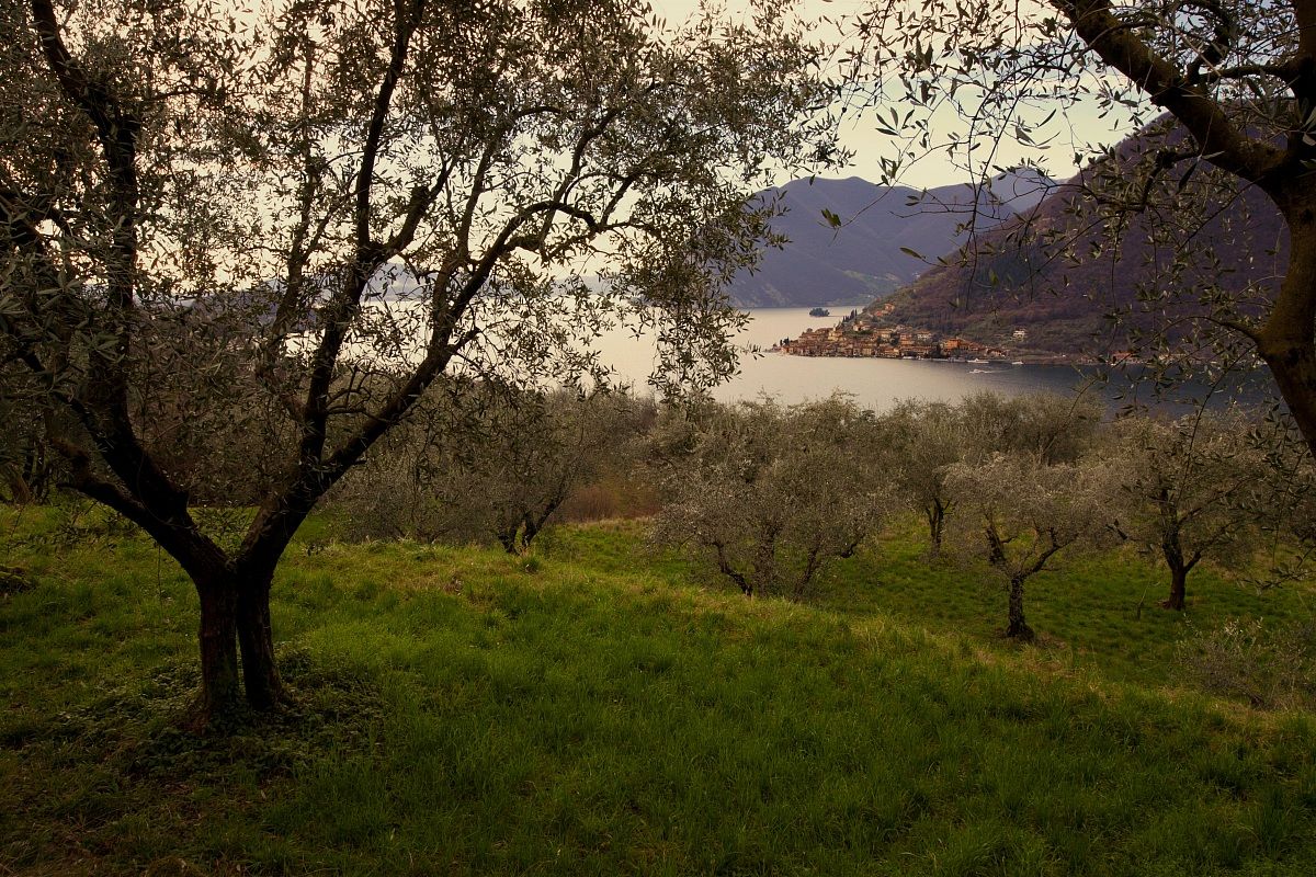Lake Iseo, in the distance Peschiera Maraglio