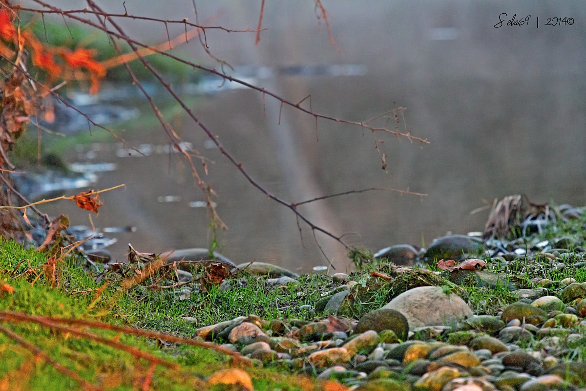 All the colors of the river ...