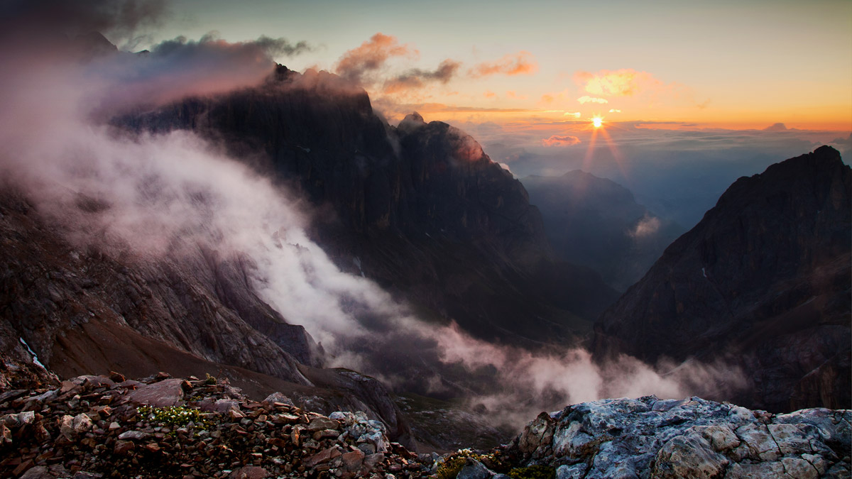 dreamt of you last night....