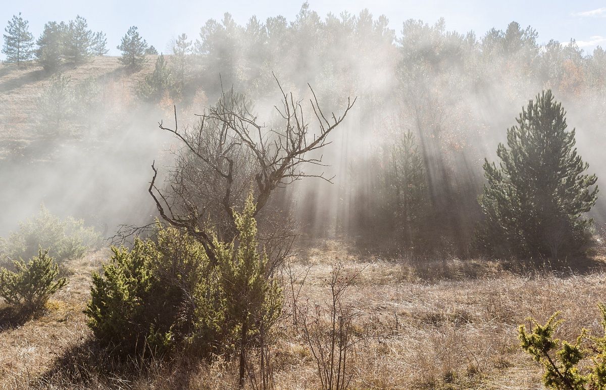 La nebbia a gl'irti colli...