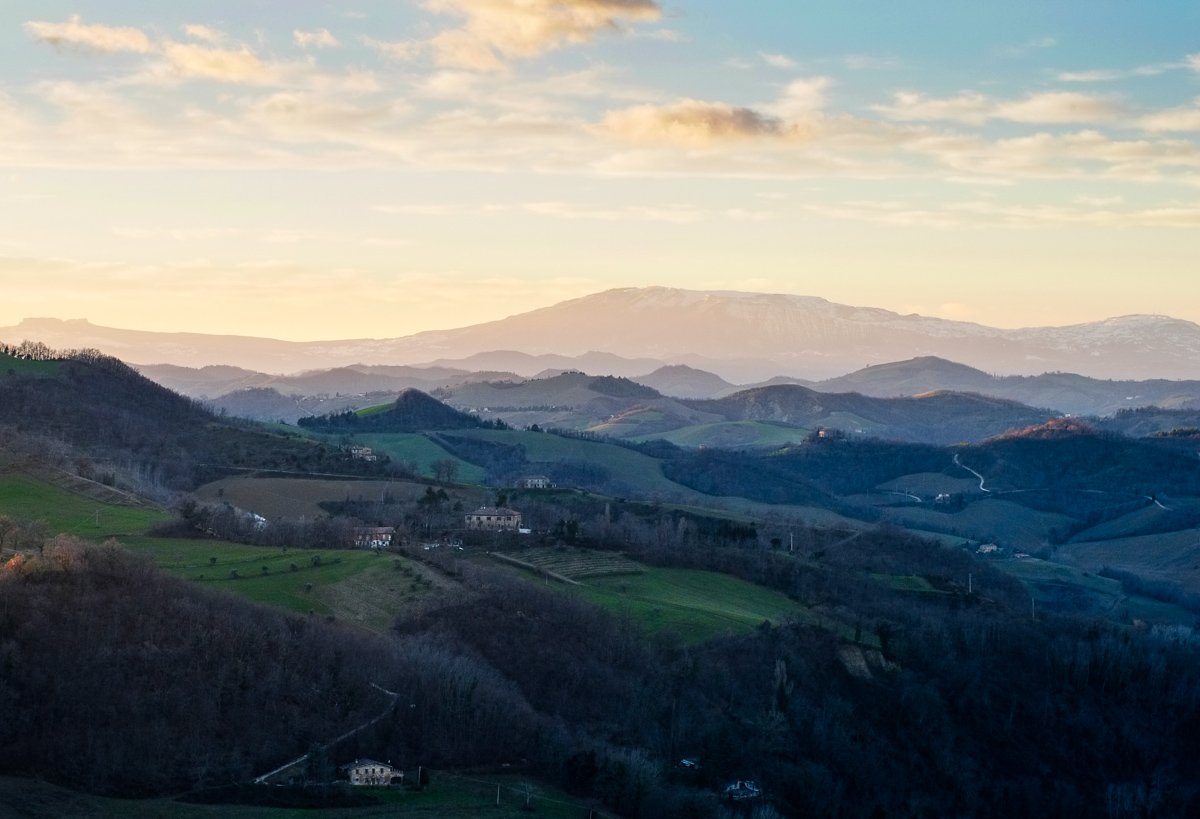 Colline Marchigiane