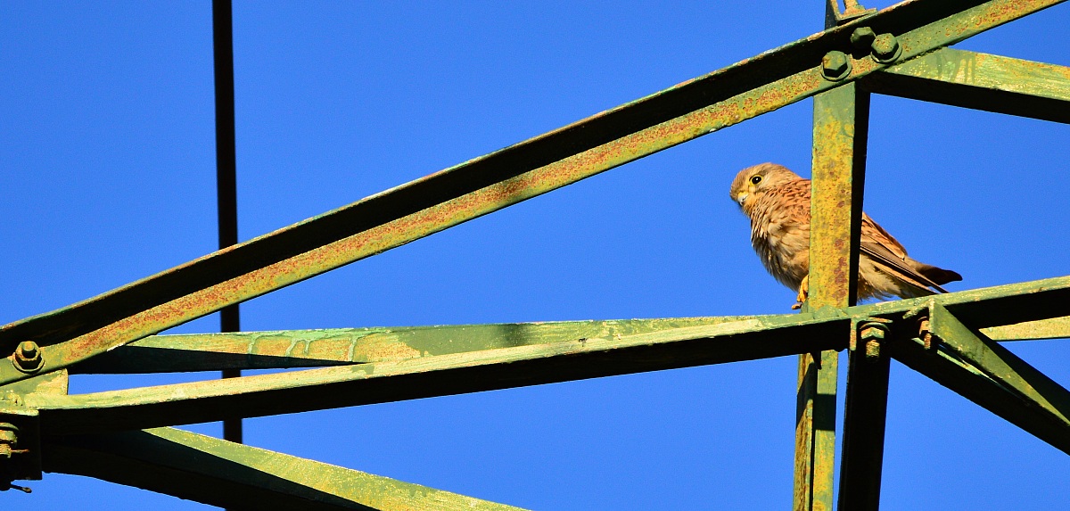 first photos with sigma 150 500