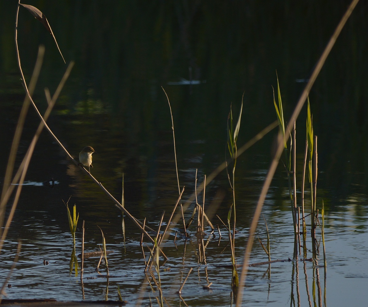 first photos with sigma 150 500