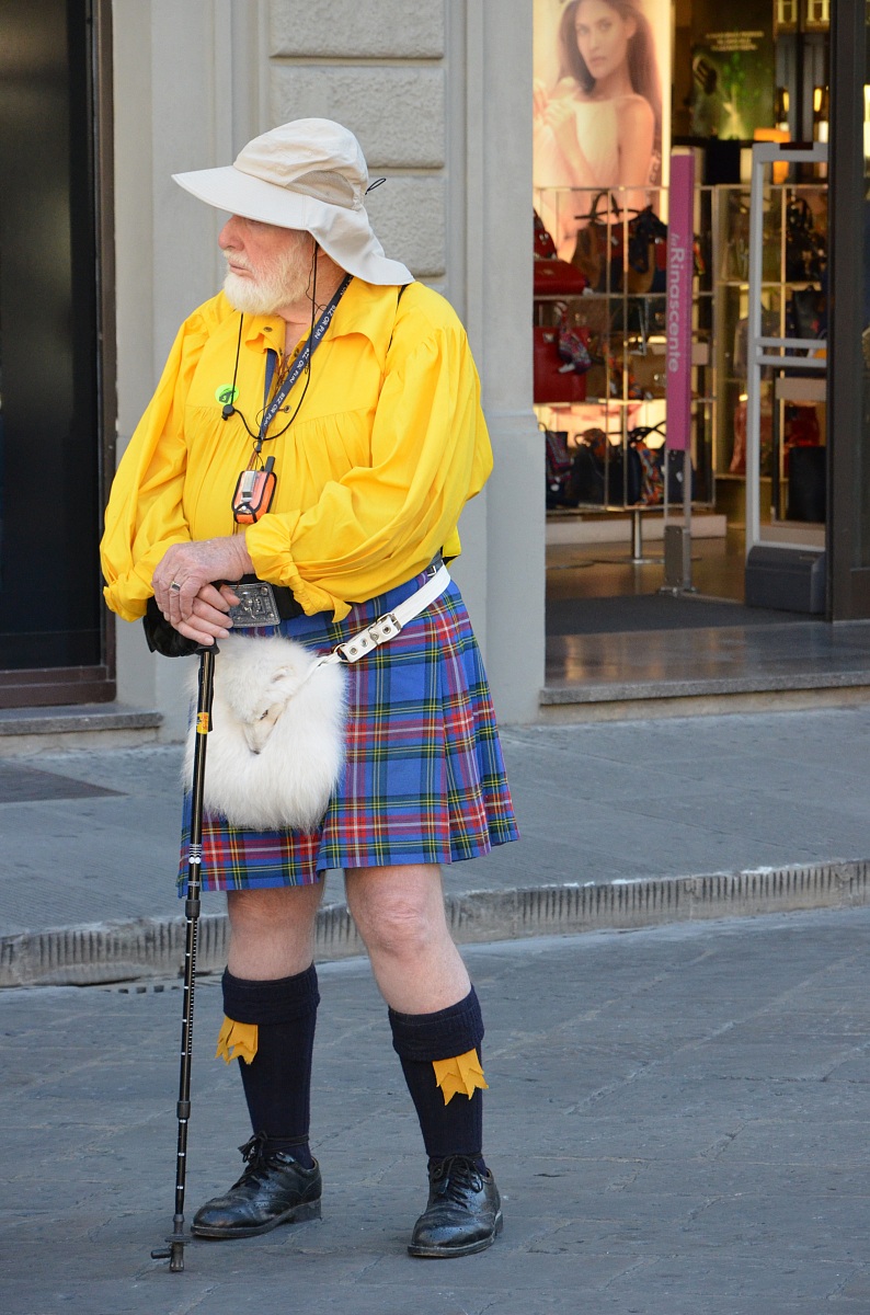 the Scottish tourist observes florence