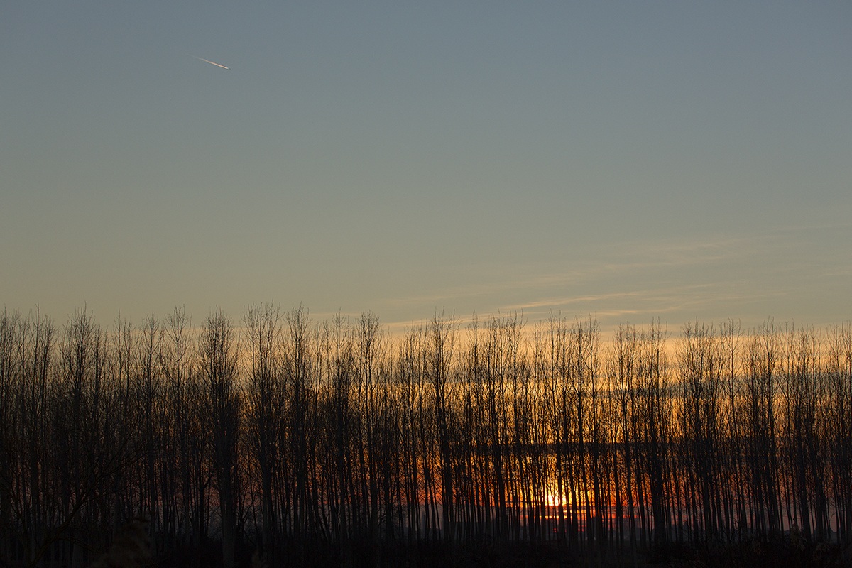 Valli Grandi Veronesi - Pioppeto