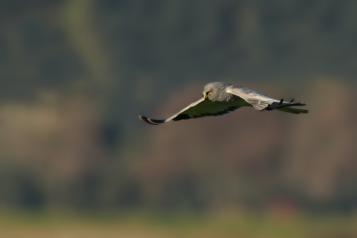 .... Having regard to the subject ..!